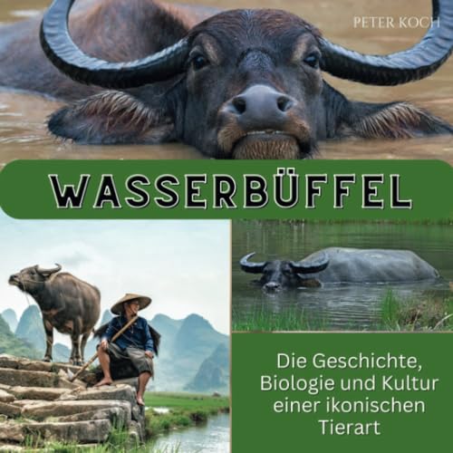 Wasserbüffel: Die Geschichte, Biologie und Kultur einer ikonischen Tierart