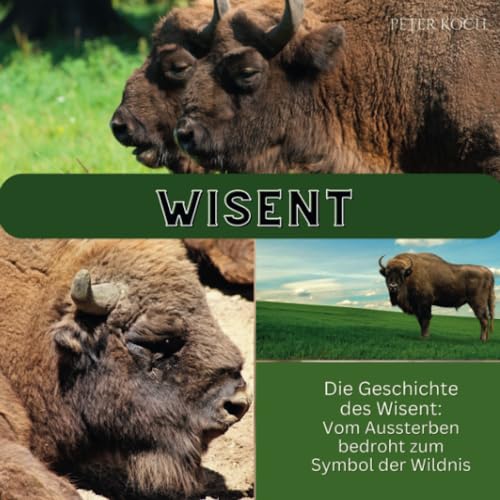 Wisent: Die Geschichte des Wisent: Vom Aussterben bedroht zum Symbol der Wildnis
