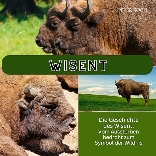 Wisent: Die Geschichte des Wisent: Vom Aussterben bedroht zum Symbol der Wildnis von 27 Amigos