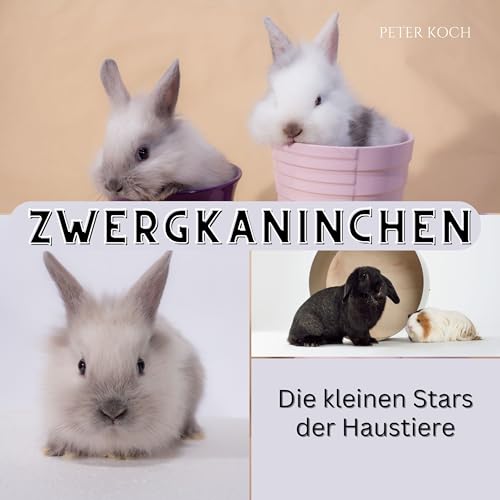 Zwergkaninchen: Die kleinen Stars der Haustiere