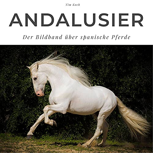 Andalusier: Der Bildband über spanische Pferde von 27amigos