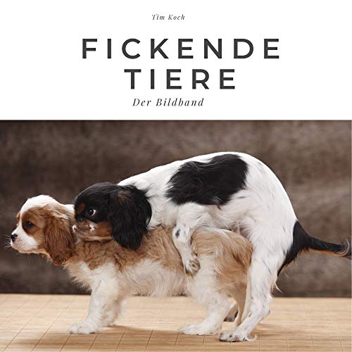 Fickende Tiere: Der Bildband: Der Bildband. Sonderausgabe, verfügbar nur bei Amazon