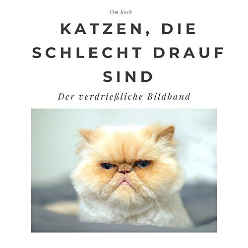 Katzen, die schlecht drauf sind: Der verdrießliche Bildband. Sonderausgabe, verfügbar nur bei Amazon