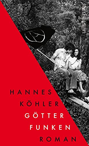 Götterfunken: Roman | Ein politischer Roman über die Frage, was von den Idealen der Jugend bleibt