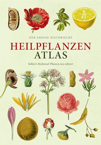 Der große Heilpflanzen-Atlas: Köhlers Medizinal-Pflanzen – Neu editiert (Erfolgsausgabe) von Favoritenpresse GmbH