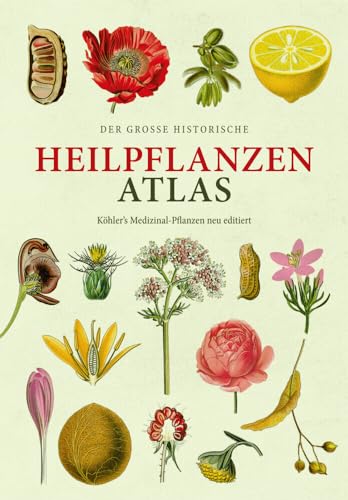 Der große Heilpflanzen-Atlas: Köhlers Medizinal-Pflanzen – Neu editiert (Erfolgsausgabe) von Favoritenpresse GmbH