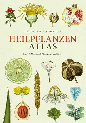 Der große Heilpflanzen-Atlas: Köhlers Medizinal-Pflanzen – Neu editiert von Favoritenpresse GmbH