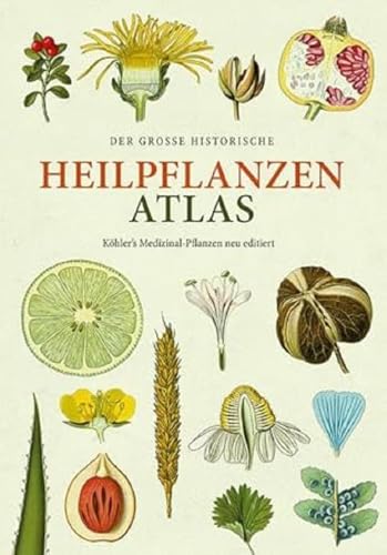Der große Heilpflanzen-Atlas: Köhlers Medizinal-Pflanzen – Neu editiert