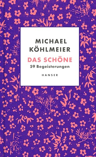 Das Schöne: 59 Begeisterungen