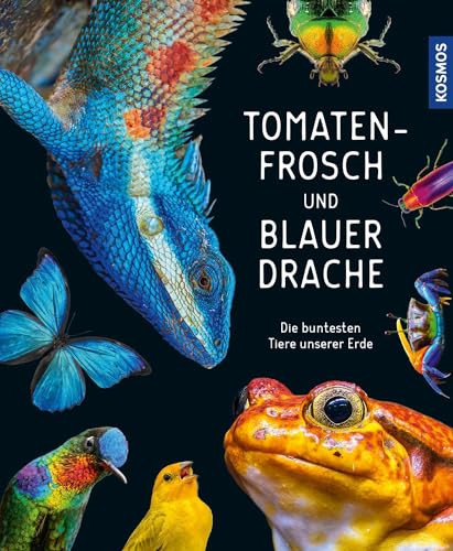 Tomatenfrosch und blauer Drache: Die buntesten Tiere unserer Erde