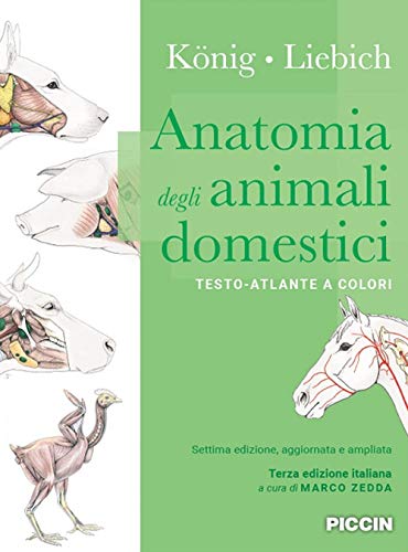 Anatomia degli animali domestici. Testo-atlante a colori Anatomia degli animali domestici. Testo-atlante a colori von LINGKU