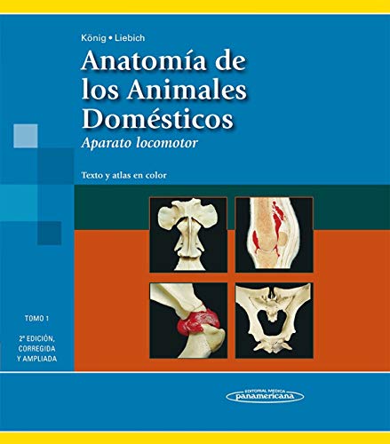 Anatomía de los animales domésticos : aparato locomotor von Editorial Médica Panamericana S.A.
