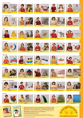Babyzeichen-Plakat: Wichtigste Starterzeichen: 40 erste Gebärden von Zwergensprache