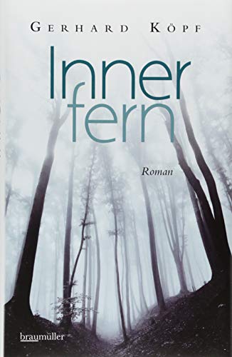 Innerfern: Roman