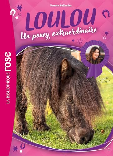 Loulou, un poney extraordinaire XXL von HACHETTE JEUN.