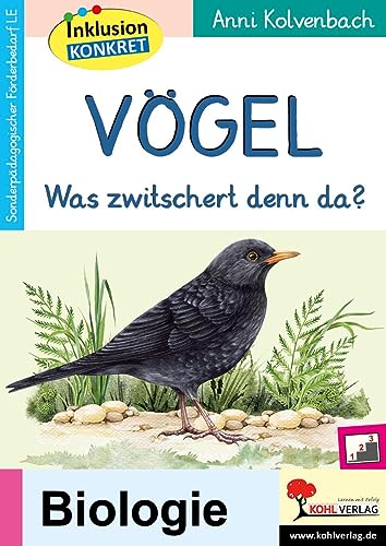 Vögel: Was zwitschert denn da?
