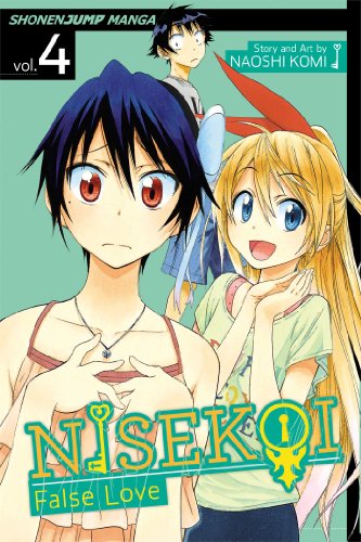 Nisekoi: False Love, Vol. 4: Making Sure (NISEKOI FALSE LOVE GN, Band 4)