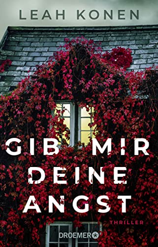 Gib mir deine Angst: Thriller