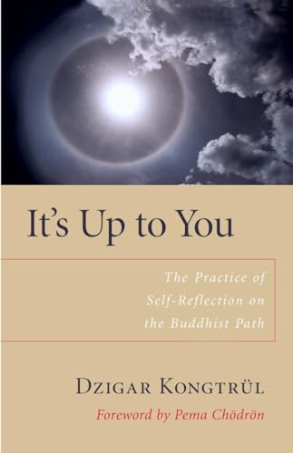 It's Up to You: The Practice of Self-Reflection on the Buddhist Path von Shambhala Publications