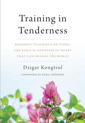 Training in Tenderness: Buddhist Teachings on Tsewa, the Radical Openness of Heart That Can Change the World von Shambhala