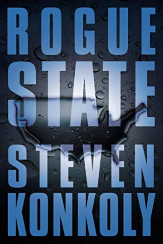 Rogue State: A Post-Apocalyptic Thriller (Fractured State, Band 2)