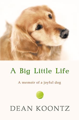 A BIG LITTLE LIFE: A memoir of a joyful dog