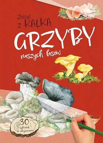 Grzyby naszych lasów: Zeszyt z kalką von Multico