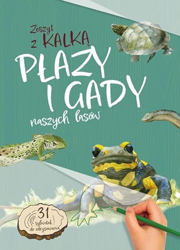 Płazy i gady naszych lasów: zeszyt z kalką von Multico