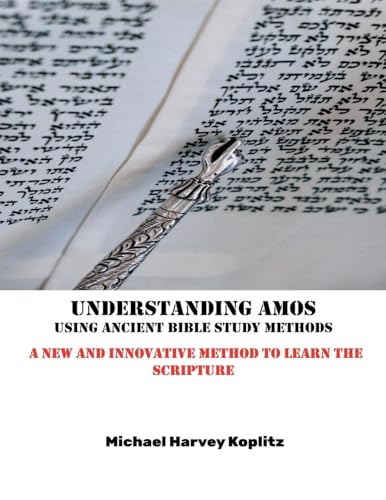 Understanding Amos Understanding Amos von Michael Koplitz