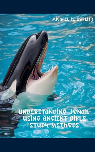 Understanding Jonah von Michael Koplitz