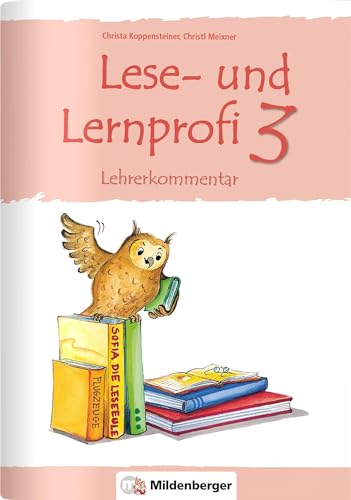 Lese- und Lernprofi 3 – Kommentar mit Lösungen: Lehrerkommentar mit Lösungen