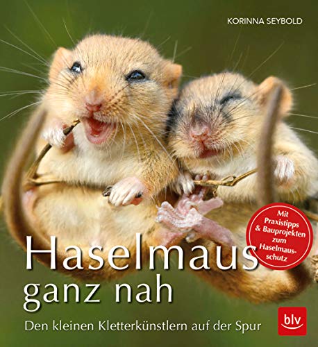 Haselmaus ganz nah: Den kleinen Kletterkünstlern auf der Spur (BLV Natur) von BLV Buchverlag GmbH & Co.