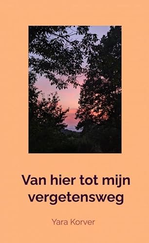 Van hier tot mijn vergetensweg von Brave New Books