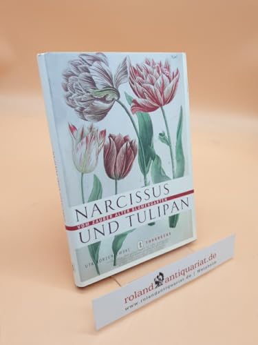 Narcissus und Tulipan: Vom Zauber alter Blumengärten von Jan Thorbecke Verlag