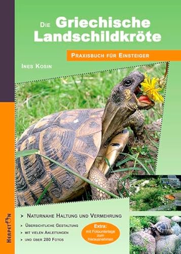 Die Griechische Landschildkröte: Praxisbuch für Einsteiger - Naturnahe Haltung und Vermehrung