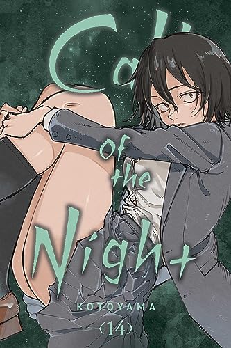 Call of the Night, Vol. 14 (CALL OF THE NIGHT GN, Band 14)