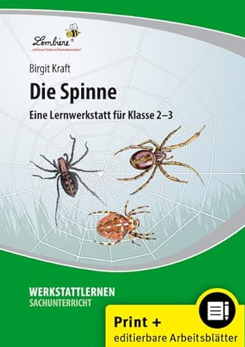 Die Spinne: (2. und 3. Klasse)