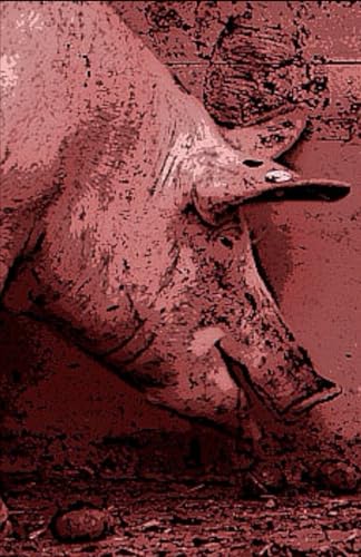 Porkgringo: An Ecuadorian Crime Novel von Independently published