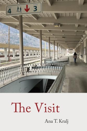 The Visit von BlazeVOX [books]