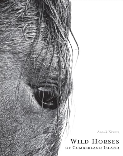 Wild Horses of Cumberland Island: Anouk Masson Krantz