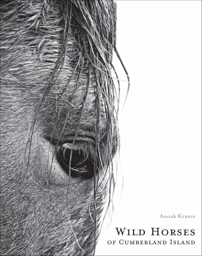Wild Horses of Cumberland Island: Anouk Masson Krantz
