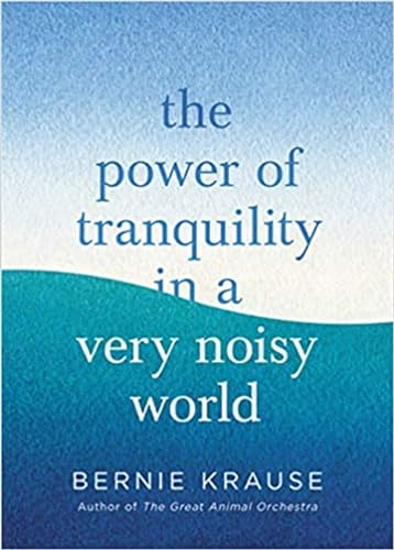 The Power of Tranquility in a Very Noisy World von Piatkus Books