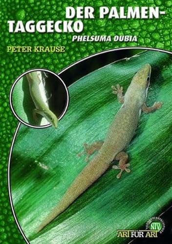 Der Palmen-Taggecko: Phelsuma dubia (Buchreihe Art für Art Terraristik)