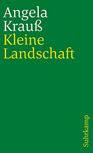 Kleine Landschaft: Erzählungen (suhrkamp taschenbuch)