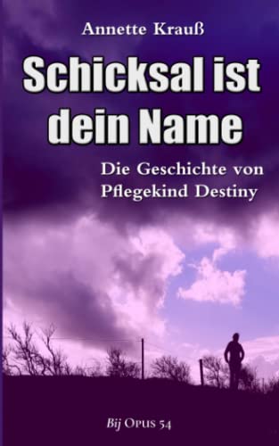 Schicksal ist dein Name: Die Geschichte von Pflegekind Destiny von Independently published