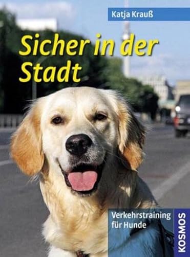 Sicher in der Stadt: Verkehrstraining für Hunde