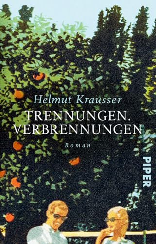 Trennungen. Verbrennungen: Roman