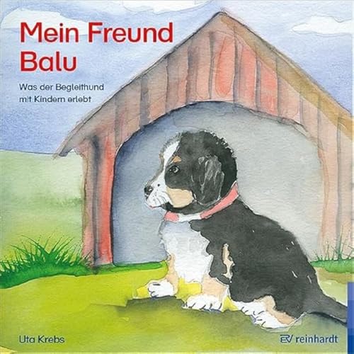 Mein Freund Balu: Was der Begleithund mit Kindern erlebt von Reinhardt Ernst