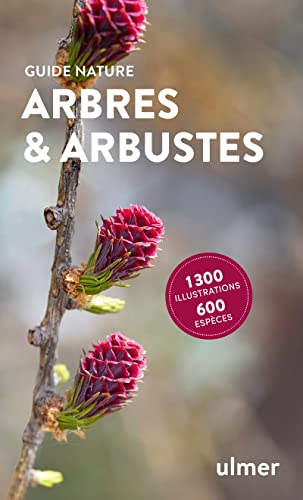 Arbres et arbustes Arbres et arbustes