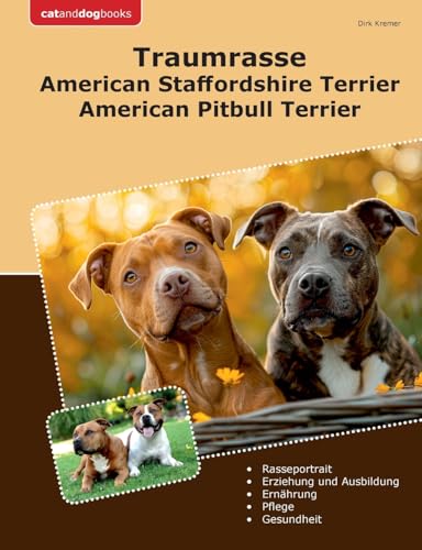 Traumrasse American Staffordshire Terrier: American Pitbull Terrier